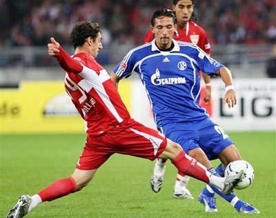 供了一个了 供了一个了